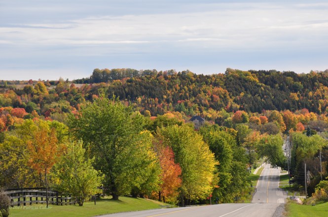 © PatriciaCalder 2014-9